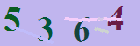 کد امنیتی