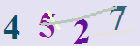 کد امنیتی