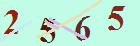 کد امنیتی
