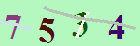 کد امنیتی