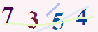 کد امنیتی