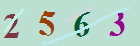 کد امنیتی