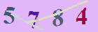 کد امنیتی
