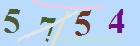 کد امنیتی