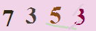 کد امنیتی
