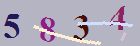 کد امنیتی
