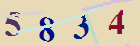کد امنیتی