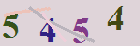 کد امنیتی