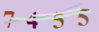 کد امنیتی