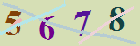 کد امنیتی