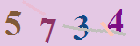 کد امنیتی