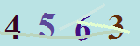 کد امنیتی