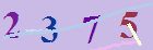 کد امنیتی