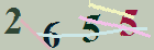 کد امنیتی