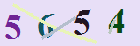 کد امنیتی