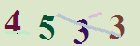 کد امنیتی