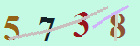 کد امنیتی
