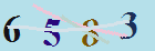 کد امنیتی