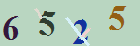 کد امنیتی