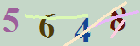کد امنیتی