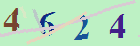 کد امنیتی