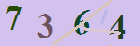 کد امنیتی