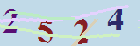 کد امنیتی