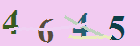 کد امنیتی