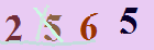 کد امنیتی