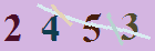 کد امنیتی