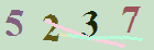 کد امنیتی