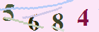کد امنیتی