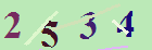 کد امنیتی