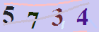 کد امنیتی