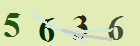 کد امنیتی