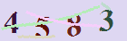 کد امنیتی