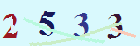 کد امنیتی