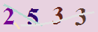 کد امنیتی