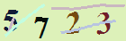 کد امنیتی