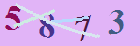 کد امنیتی