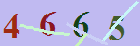 کد امنیتی