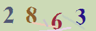 کد امنیتی