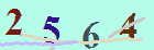 کد امنیتی