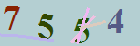کد امنیتی