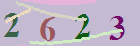 کد امنیتی