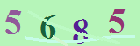 کد امنیتی
