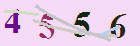 کد امنیتی