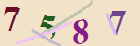 کد امنیتی