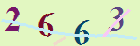 کد امنیتی