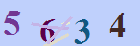 کد امنیتی